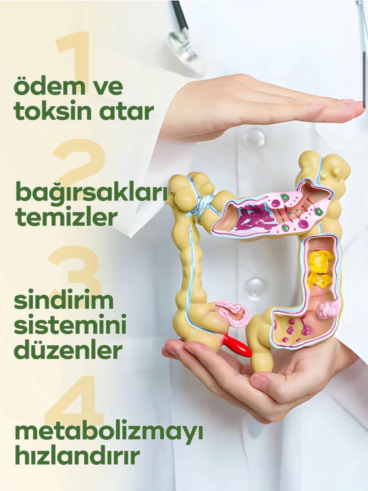 Zühre Ana Bromelain Şurubu - Afbeelding 4